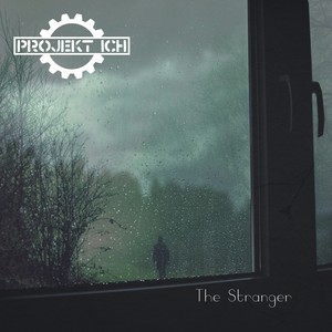 The Stranger (HzweiG Instrumental Remix)