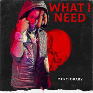 What I Need ( Remix ) [Explicit]