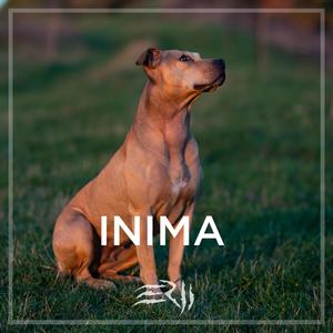 Inima (Explicit)