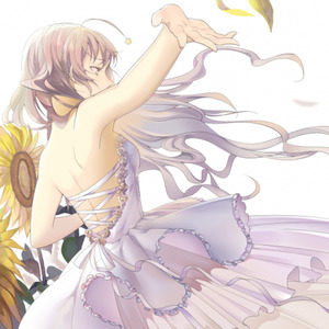 思念于夏天离去的你