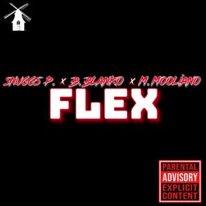 Flex (Explicit)