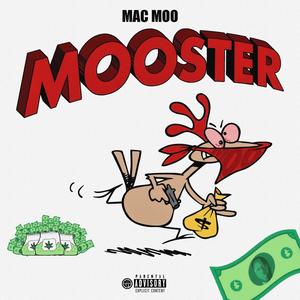 MOOSTER (Explicit)