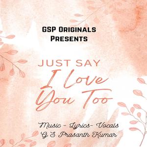 Just Say I Love You Too