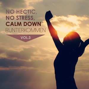 No Hectic, No Stress, Calm Down Runterkommen, Vol. 3 (Explicit)