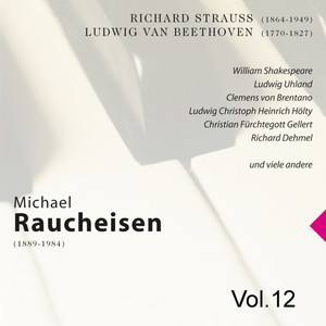 Michael Raucheisen Vol. 12