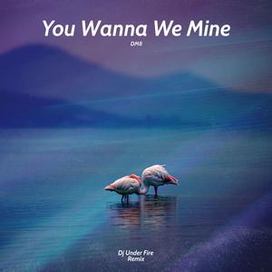 You Wanna We Mine (Dj Under Fire Remix|Explicit)