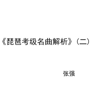 《寒鸦戏水》演奏