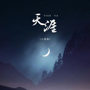 天涯-小匆匆