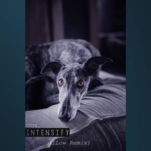 Intensify (Remix)