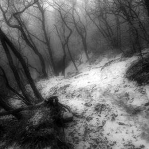 trust (feat. 4hantasy) (Explicit)