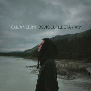 Волосы цвета лжи