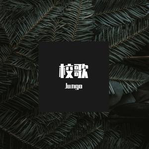 海南华侨中学校歌(Jungo bootleg)