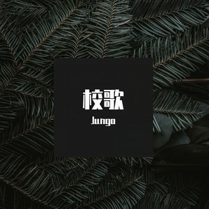 。-海南华侨中学校歌 (Jungo bootleg) (Jungo remix)