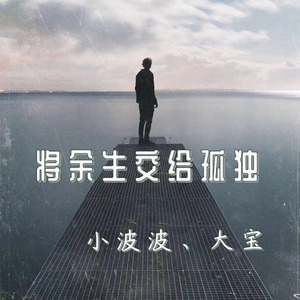 将余生交给孤独 (DJ版)