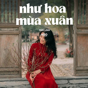 Như Hoa Mùa Xuân (lofi)