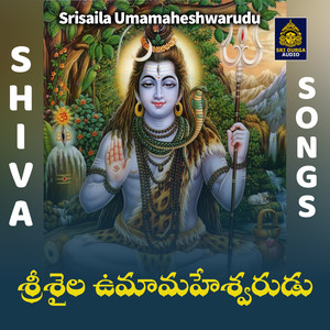 Srisaila Umamaheshwarudu