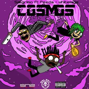 Cosmos(feat. Peeda & White Migz) (Explicit)