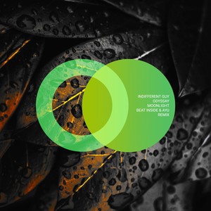 Moonlight (Beat Inside, AYU|UA|Remix)