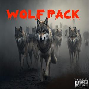 Wolf Pack (feat. Sickness_Falls) (Explicit)