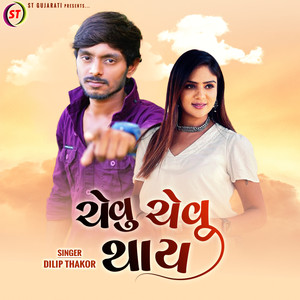 Chevu Chevu Thay (Remix)