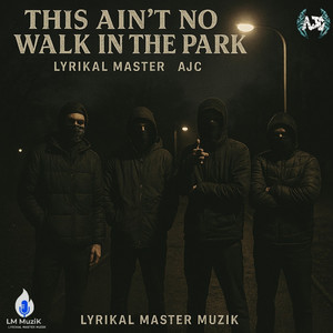 This Ain't No Walk In The Park (Explicit)