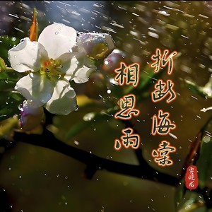 相思雨折断海棠