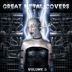 Great Metal Covers 5