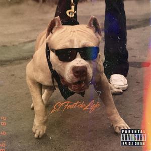 El feat de lujo (feat. de lujo Radg Ahryman Depredadores del Microphone & Radix)