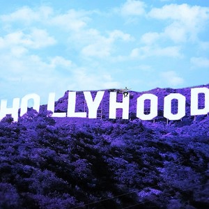 Hollyhood