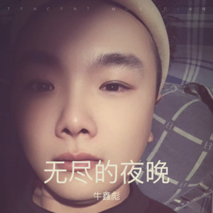 无尽的夜晚伴奏 (伴奏)