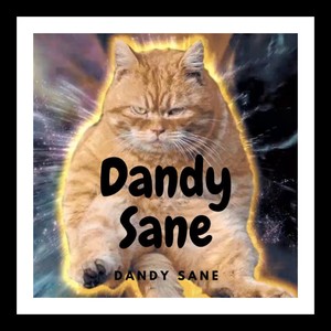 Dandysane