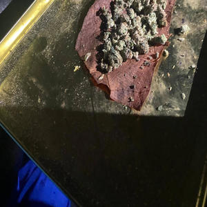 458 (feat. Tsplatt) (Explicit)