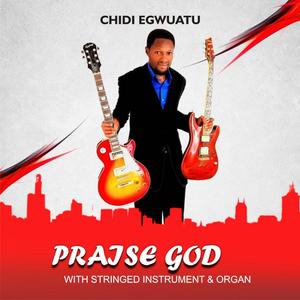 Praise God With Stringed Instrument And Orga (album)