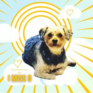 I MISS U (feat. GO!)