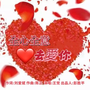 全心全意去爱你 (DJ阿能版伴奏)