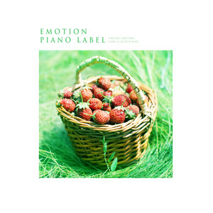 별이 내리는 커튼 (A Curtain Of Stars) (Nature Ver.)