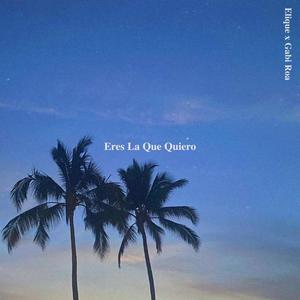 Eres La Que Quiero (feat. Gabi Roa) [Explicit]