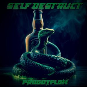 Self Destruct (Explicit)