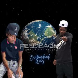 FeedBack (feat. Krypto Don & ChapSkull) (Explicit)