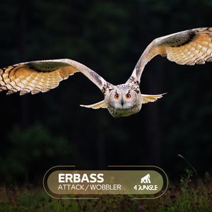 Attack