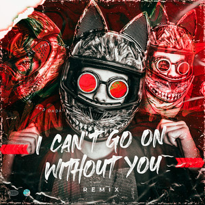 I Can't Go On Without You (Remix)