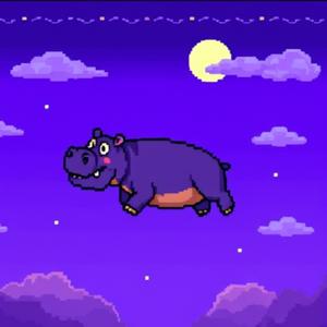 8-bit Hippo (Explicit)