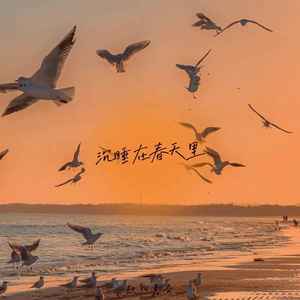 沉睡在春天里