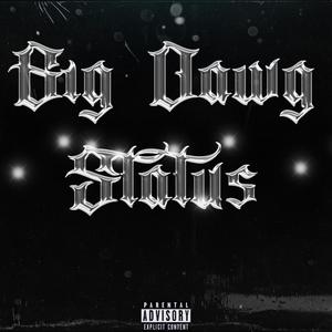 Big Dawg Status (feat. ZDubb) (Explicit)