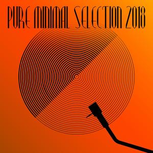 Pure Minimal Selection 2018