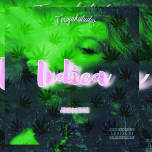 INDICA (Explicit)