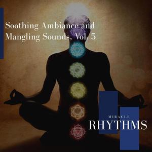 Soothing Ambiance And Mangling Sounds, Vol. 5