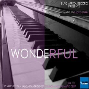 Wonderful (Troy Deep Sounds Touch)