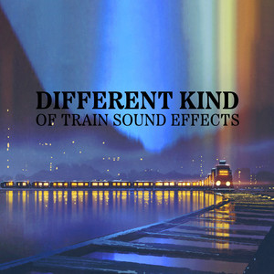 Different Kind of Train Sound Effects (Train Sounds on Track a Rainy Night)