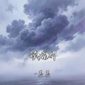 镇痛剂